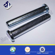 Made in China High Quality Zinc Plated Expansion Anchor Bolt
